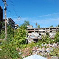 This was once the Packard Plant. There are rumors that it's going to be restored but it doesn't look salvageable.